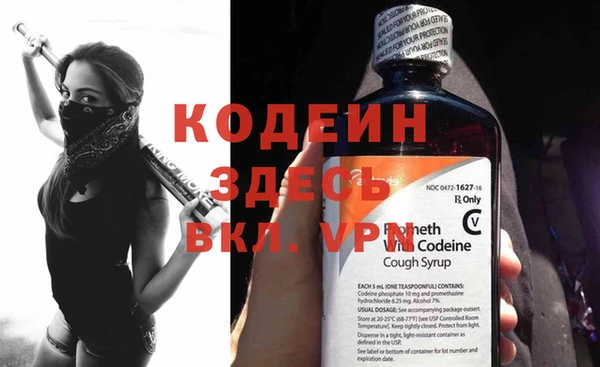 МДПВ Бородино