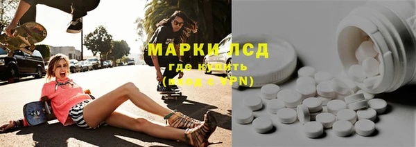 МДПВ Бородино