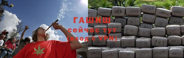 МДПВ Бородино