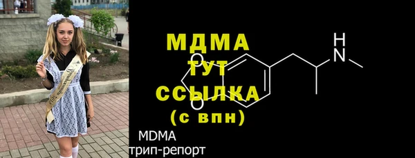 МДПВ Бородино