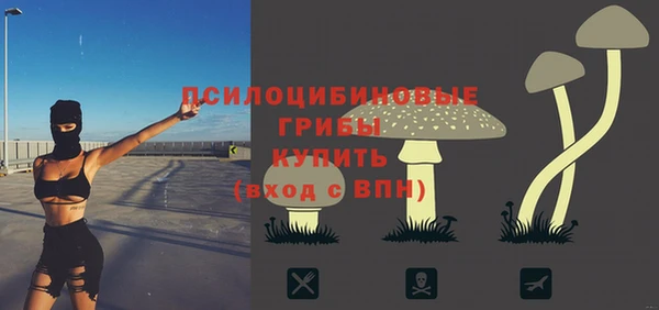 марки nbome Богданович