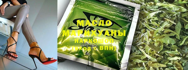 МДПВ Бородино