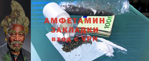 МДПВ Бородино