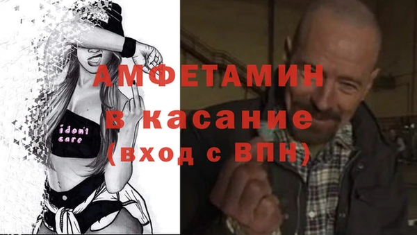 МДПВ Бородино