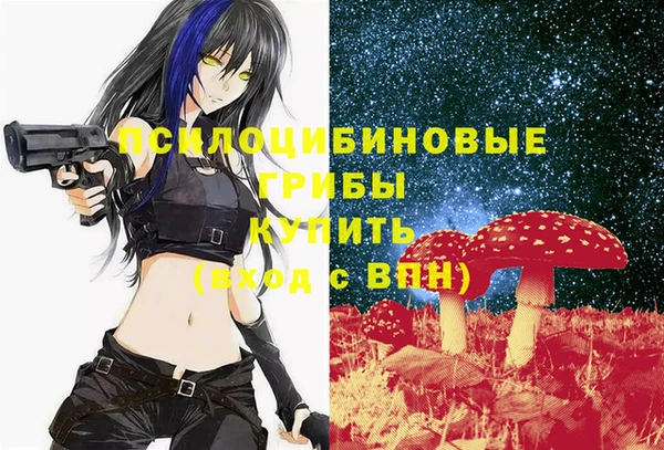 мескалин Богородицк